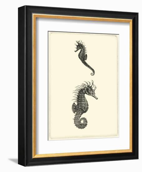 Sepia Seahorse-Vision Studio-Framed Art Print