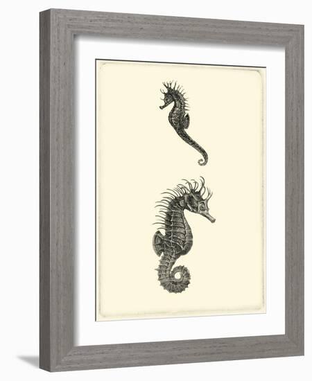 Sepia Seahorse-Vision Studio-Framed Art Print