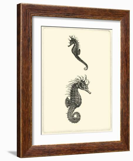 Sepia Seahorse-Vision Studio-Framed Art Print