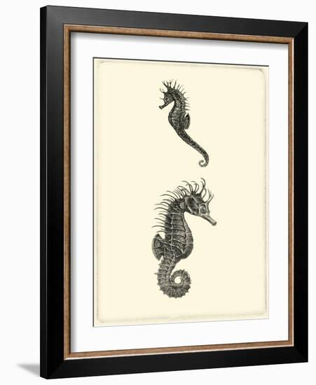 Sepia Seahorse-Vision Studio-Framed Art Print