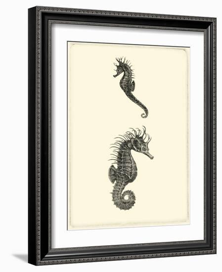 Sepia Seahorse-Vision Studio-Framed Art Print