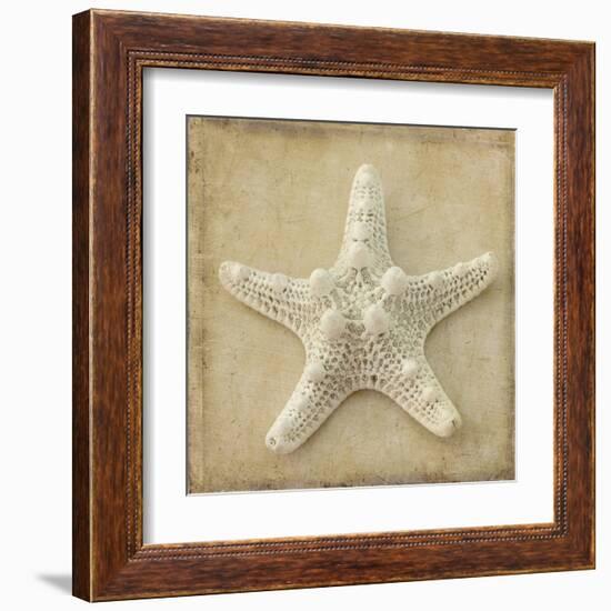 Sepia Shell I-Judy Stalus-Framed Art Print