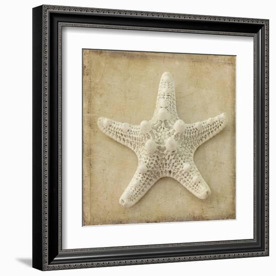 Sepia Shell I-Judy Stalus-Framed Art Print