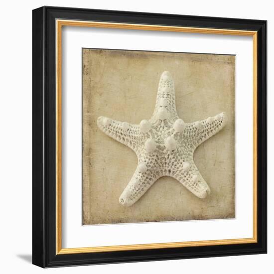 Sepia Shell I-Judy Stalus-Framed Art Print