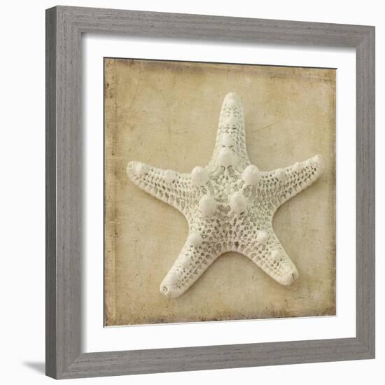 Sepia Shell I-Judy Stalus-Framed Art Print