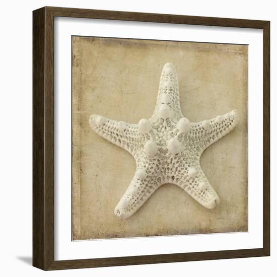 Sepia Shell I-Judy Stalus-Framed Art Print