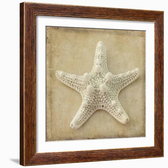 Sepia Shell I-Judy Stalus-Framed Art Print