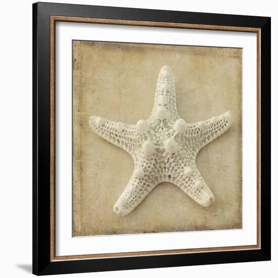 Sepia Shell I-Judy Stalus-Framed Art Print