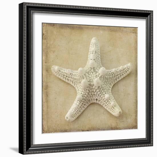 Sepia Shell I-Judy Stalus-Framed Art Print