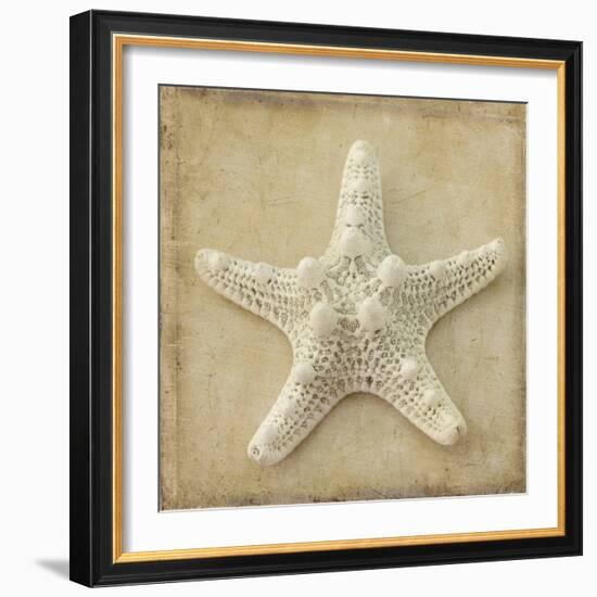 Sepia Shell I-Judy Stalus-Framed Art Print