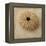 Sepia Shell III-Judy Stalus-Framed Stretched Canvas