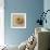 Sepia Shell III-Judy Stalus-Framed Art Print displayed on a wall