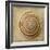 Sepia Shell V-Judy Stalus-Framed Art Print