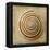 Sepia Shell V-Judy Stalus-Framed Stretched Canvas