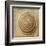 Sepia Shell V-Judy Stalus-Framed Art Print