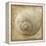 Sepia Shell VI-Judy Stalus-Framed Stretched Canvas