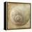 Sepia Shell VI-Judy Stalus-Framed Stretched Canvas