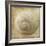 Sepia Shell VI-Judy Stalus-Framed Art Print