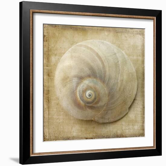 Sepia Shell VI-Judy Stalus-Framed Art Print