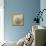 Sepia Shell VI-Judy Stalus-Mounted Art Print displayed on a wall