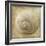 Sepia Shell VI-Judy Stalus-Framed Art Print