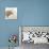 Sepia Shells-Tom Quartermaine-Giclee Print displayed on a wall