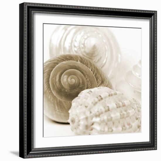 Sepia Shells-Tom Quartermaine-Framed Giclee Print