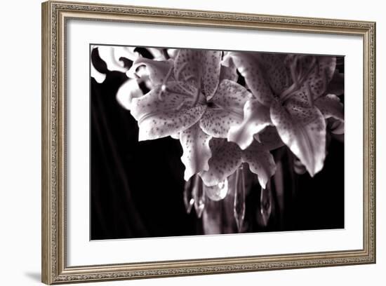 Sepia Stargazer Lily in a Vase-Anna Miller-Framed Photographic Print