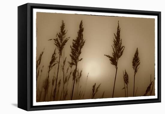 Sepia Sunrise-Adrian Campfield-Framed Premier Image Canvas