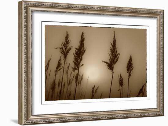 Sepia Sunrise-Adrian Campfield-Framed Giclee Print