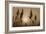 Sepia Sunrise-Adrian Campfield-Framed Giclee Print