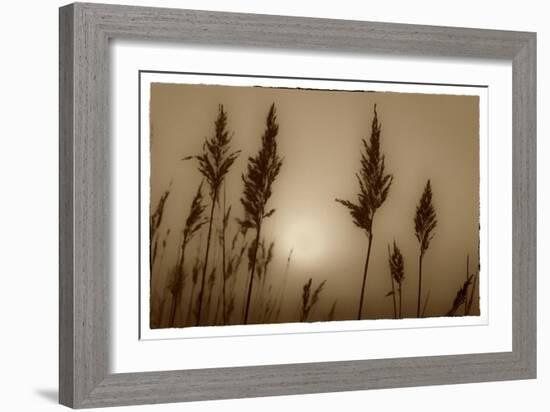 Sepia Sunrise-Adrian Campfield-Framed Giclee Print