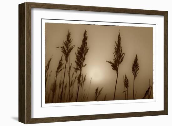 Sepia Sunrise-Adrian Campfield-Framed Giclee Print