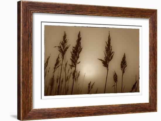 Sepia Sunrise-Adrian Campfield-Framed Giclee Print