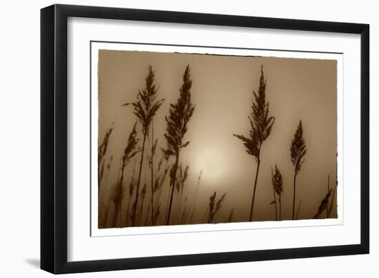 Sepia Sunrise-Adrian Campfield-Framed Giclee Print