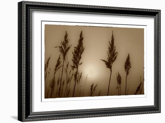 Sepia Sunrise-Adrian Campfield-Framed Giclee Print