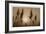 Sepia Sunrise-Adrian Campfield-Framed Giclee Print