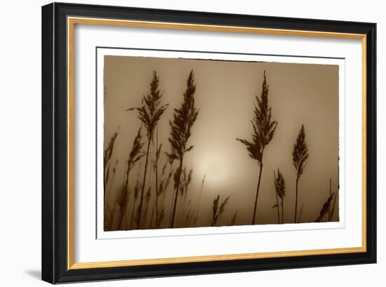 Sepia Sunrise-Adrian Campfield-Framed Giclee Print