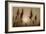 Sepia Sunrise-Adrian Campfield-Framed Giclee Print