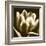 Sepia Tulip I-Renee W. Stramel-Framed Art Print