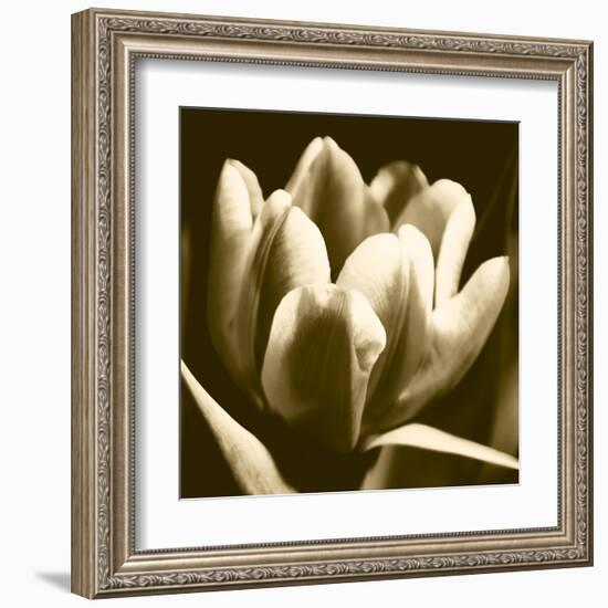 Sepia Tulip I-Renee W. Stramel-Framed Art Print