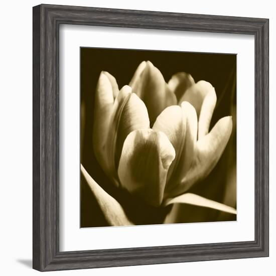 Sepia Tulip I-Renee W. Stramel-Framed Art Print