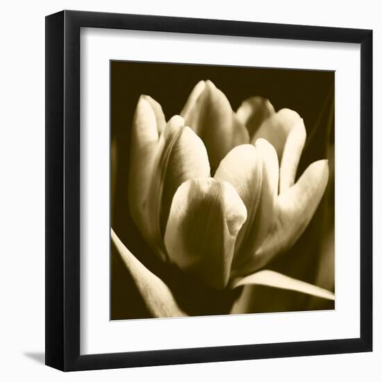 Sepia Tulip I-Renee W. Stramel-Framed Art Print