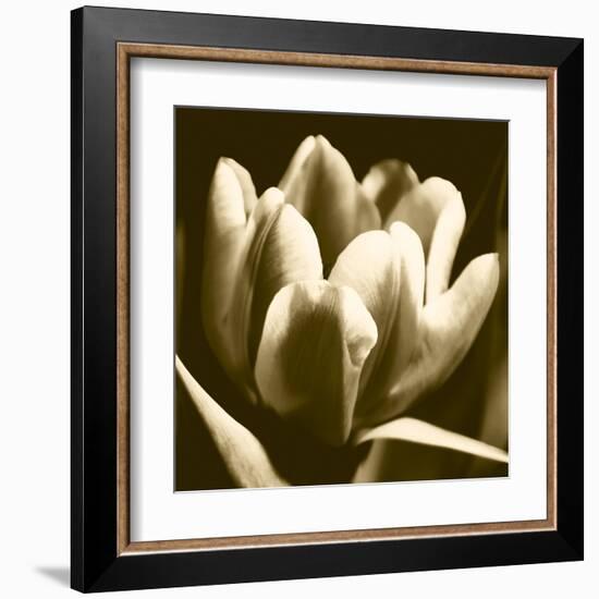 Sepia Tulip I-Renee W. Stramel-Framed Art Print