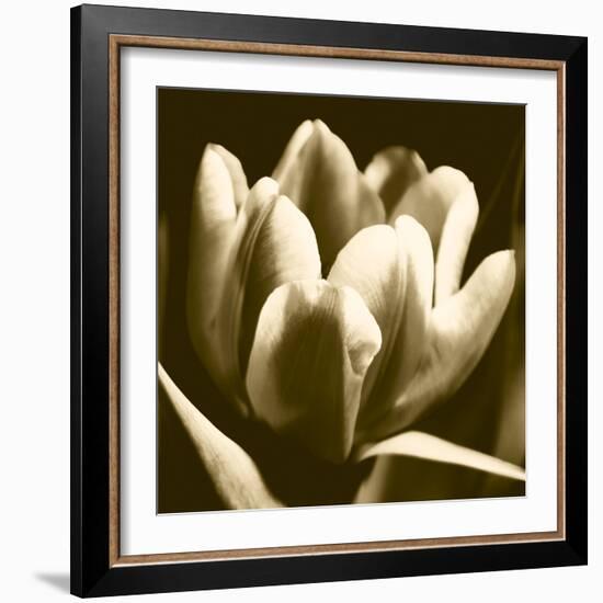 Sepia Tulip I-Renee W. Stramel-Framed Art Print