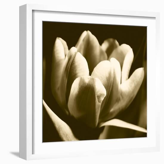 Sepia Tulip I-Renee W. Stramel-Framed Art Print