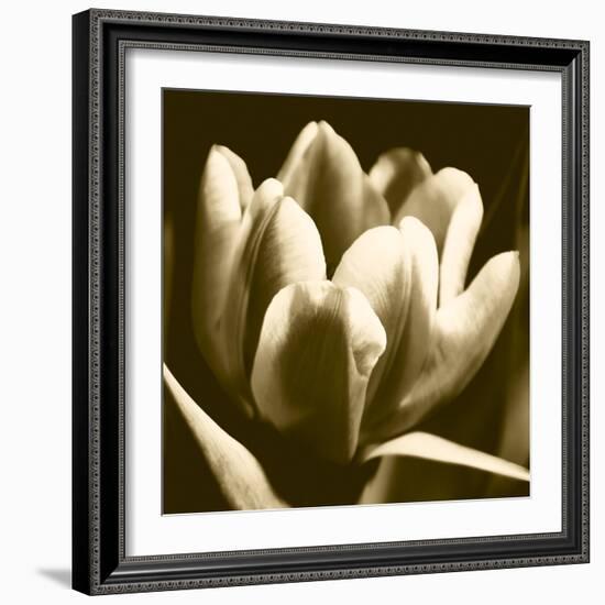 Sepia Tulip I-Renee W. Stramel-Framed Art Print