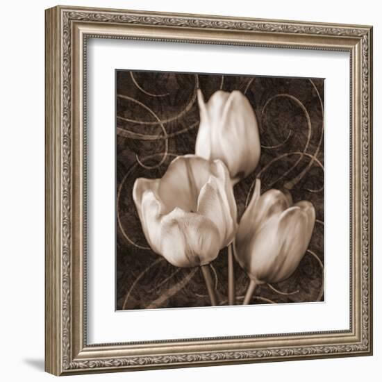 Sepia Tulip II-Christine Zalewski-Framed Art Print