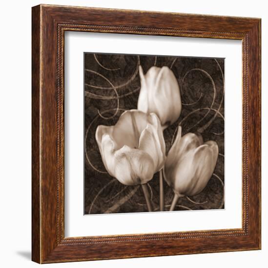 Sepia Tulip II-Christine Zalewski-Framed Art Print