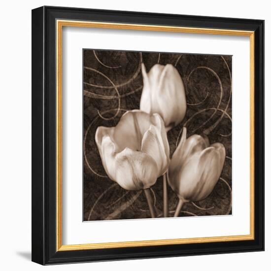 Sepia Tulip II-Christine Zalewski-Framed Art Print